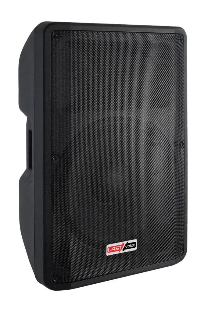 Lastvoice LP-15X Profesyonel Pasif Kabin Hoparlör 15'' 1000 Watt Lastvoice LP-15X Profesyonel Pasif Kabin Hoparlör 15'' 1000 Watt