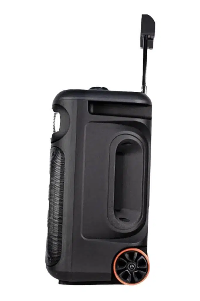 Midex 1300 Watt FM Radyolu Ekholu Kablosuz Mikrofonlu Şarjlı Mevlüt Anfisi MXR-1300