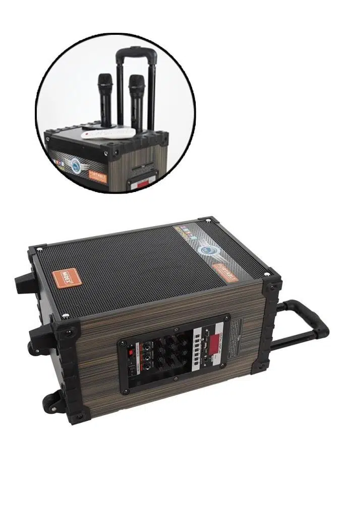 Midex 450 Watt Şarjlı Taşınabilir Büyük Mevlüt Anfisi Çift Mikrofonlu (MR-450)