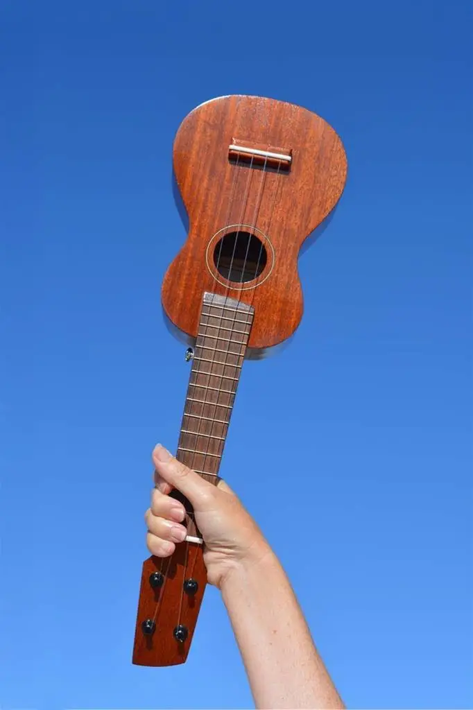 Yonka Akademi - Online Ukulele Dersi (8 Ders - 2 Kur)